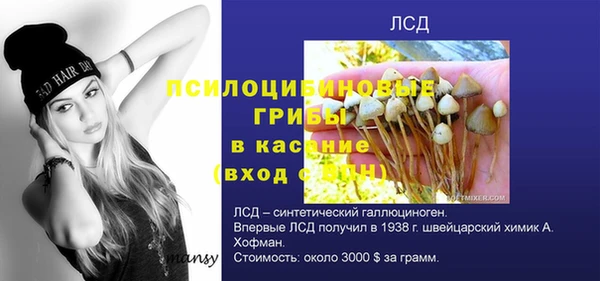 СК Алзамай