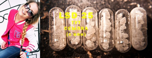 СК Алзамай