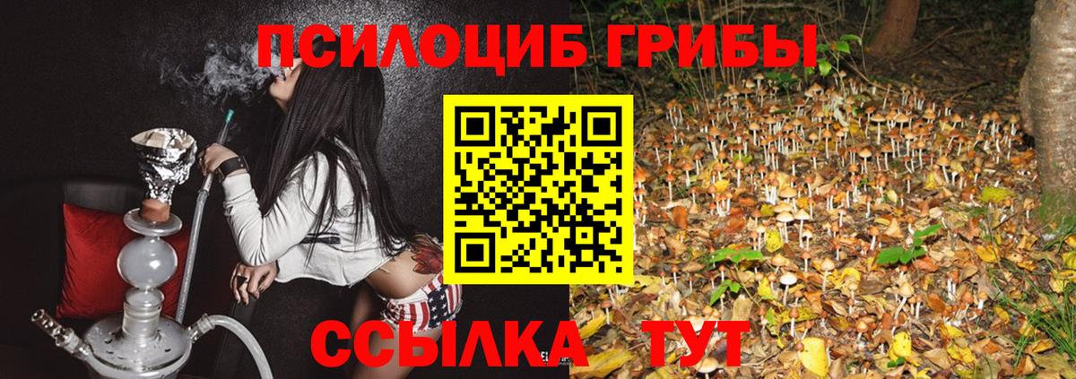 Галлюциногенные грибы прущие грибы Туапсе